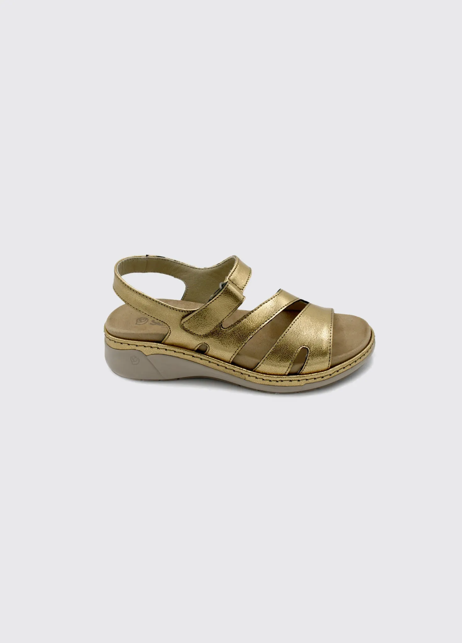 Malaga - Gold