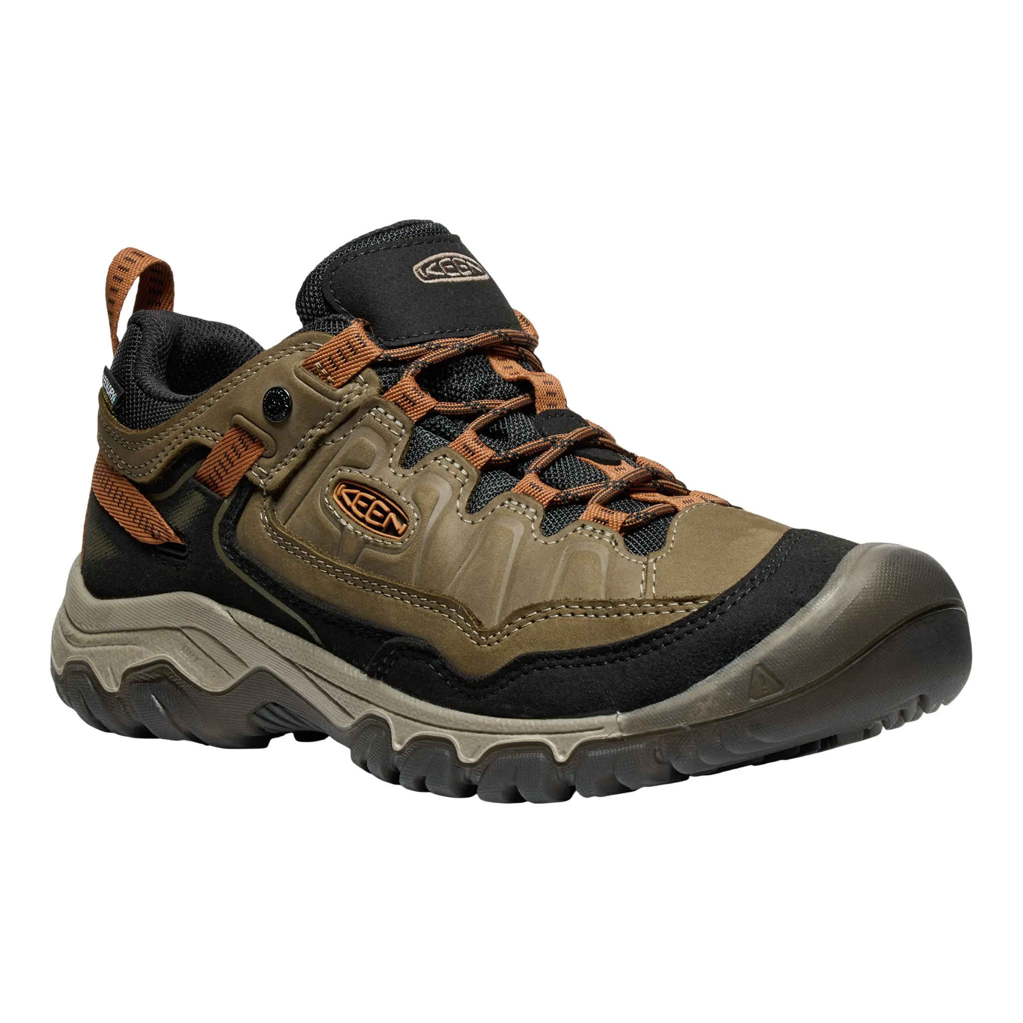 Men's Targhee IV Waterproof Hiking Shoe Sea Turtle/Roasted Pecan