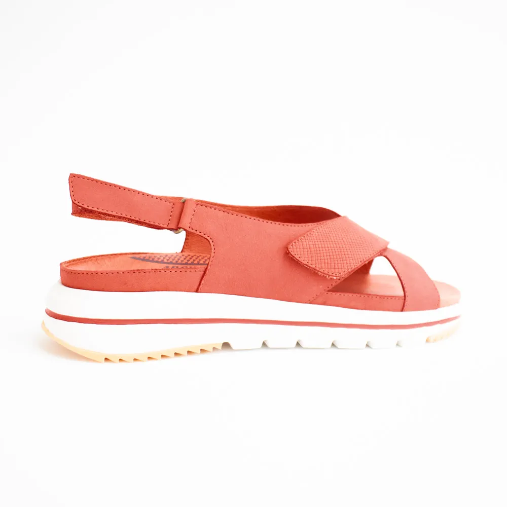 Minty Coral