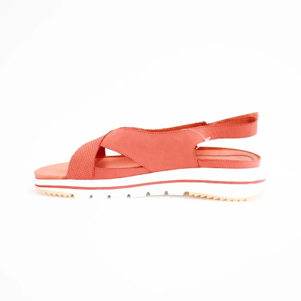 Minty Coral