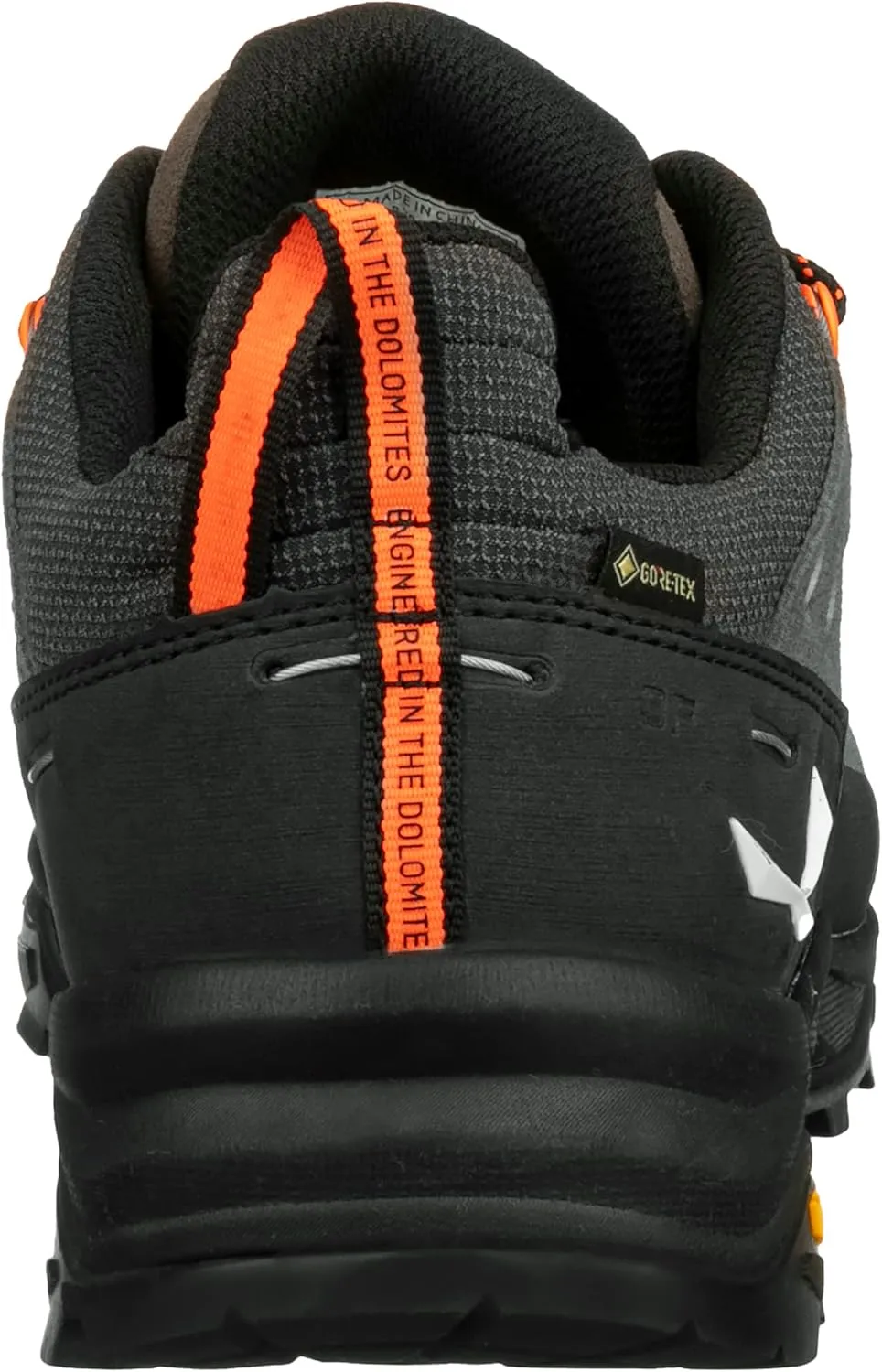 Salewa Men's Alp Trainer 2 Gore-Tex Waterproof GTX Hiking Shoe