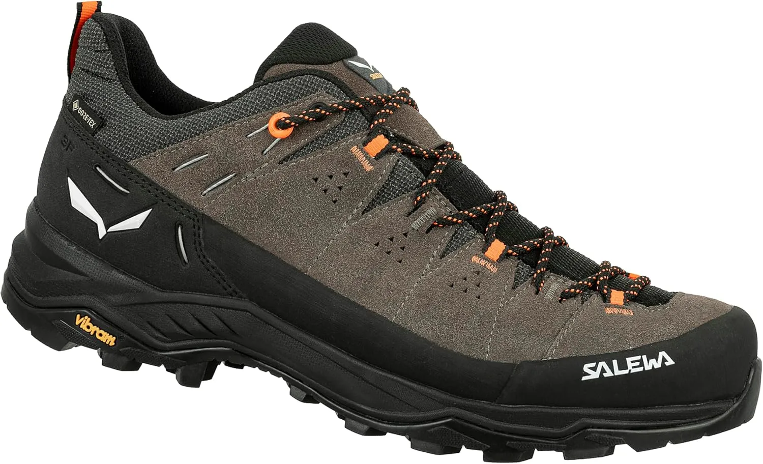 Salewa Men's Alp Trainer 2 Gore-Tex Waterproof GTX Hiking Shoe