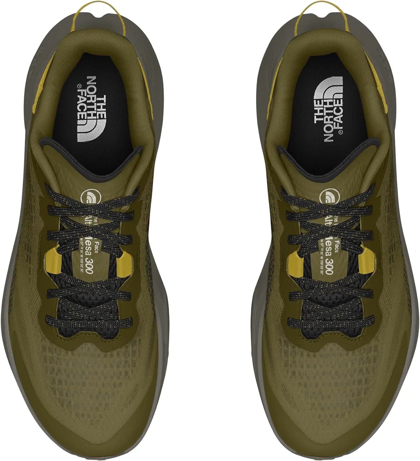 THE NORTH FACE Men's Altamesa 300 Hiking Shoe